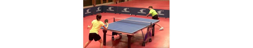 TABLE DE PING PONG