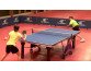 TABLE DE PING PONG